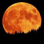 lunar eclipe october 2014
